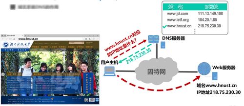 應用層信息系統運行維護服務的關鍵角色與實踐策略
